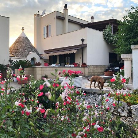 Casa Delle Rondini Bed and Breakfast Alberobello Buitenkant foto