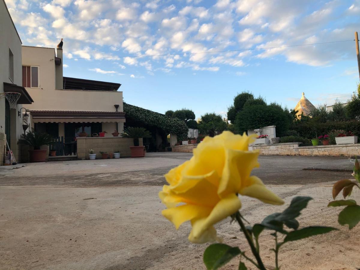 Casa Delle Rondini Bed and Breakfast Alberobello Buitenkant foto