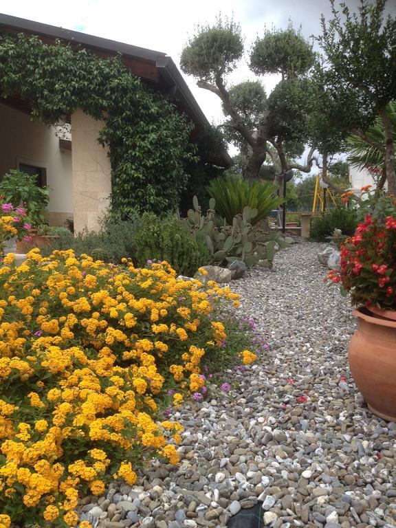 Casa Delle Rondini Bed and Breakfast Alberobello Buitenkant foto