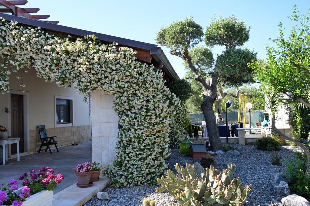 Casa Delle Rondini Bed and Breakfast Alberobello Buitenkant foto