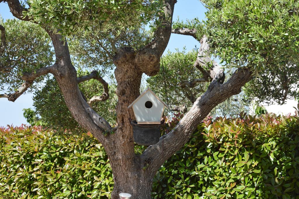 Casa Delle Rondini Bed and Breakfast Alberobello Buitenkant foto